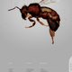 Illustration for article titled Concrete-Printing Bees And Other Living 3D Printers